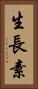 生長素 Vertical Portrait