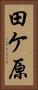 田ケ原 Vertical Portrait