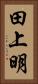 田上明 Vertical Portrait