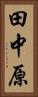 田中原 Vertical Portrait