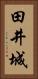 田井城 Vertical Portrait