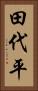 田代平 Vertical Portrait