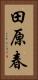田原春 Vertical Portrait