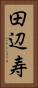 田辺寿 Vertical Portrait