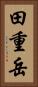 田重岳 Vertical Portrait
