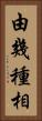 由幾種相 Vertical Portrait