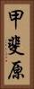 甲斐原 Vertical Portrait
