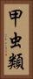 甲虫類 Vertical Portrait