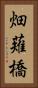 畑薙橋 Vertical Portrait
