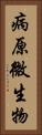 病原微生物 Vertical Portrait