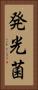 発光菌 Vertical Portrait
