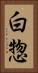 白惣 Vertical Portrait