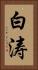 白涛 Vertical Portrait