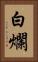 白爛 Vertical Portrait