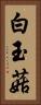 白玉菇 Vertical Portrait