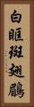 白眶斑翅鶥 Vertical Portrait