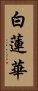 白蓮華 Vertical Portrait