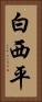 白西平 Vertical Portrait