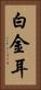 白金耳 Vertical Portrait