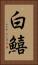 白鱚 Vertical Portrait