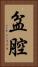 盆腔 Vertical Portrait