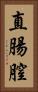 直腸膣 Vertical Portrait