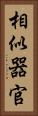 相似器官 Vertical Portrait