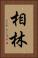 相林 Vertical Portrait