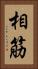 相筋 Vertical Portrait