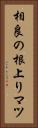 相良の根上りマツ Vertical Portrait