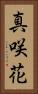 真咲花 Vertical Portrait