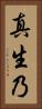 真生乃 Vertical Portrait