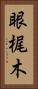 眼梶木 Vertical Portrait