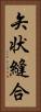 矢状縫合 Vertical Portrait