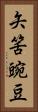 矢筈豌豆 Vertical Portrait