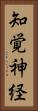 知覚神経 Vertical Portrait