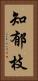 知郁枝 Vertical Portrait