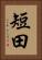 短田 Vertical Portrait