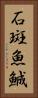 石斑魚 Vertical Portrait