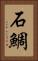 石鯛 Vertical Portrait