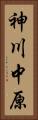 神川中原 Vertical Portrait