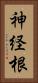 神経根 Vertical Portrait