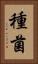 種菌 Vertical Portrait