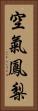 空氣鳳梨 Vertical Portrait