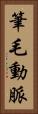 筆毛動脈 Vertical Portrait