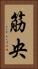 筋央 Vertical Portrait