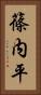 篠内平 Vertical Portrait