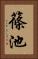篠池 Vertical Portrait