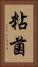 粘菌 Vertical Portrait