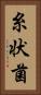 糸状菌 Vertical Portrait